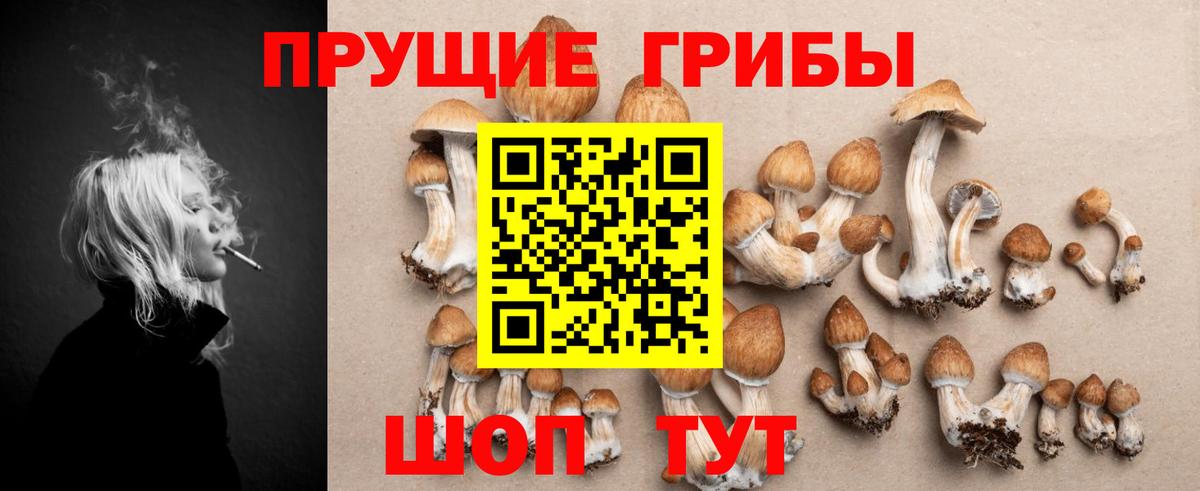 Псилоцибиновые грибы MAGIC MUSHROOMS Нальчик