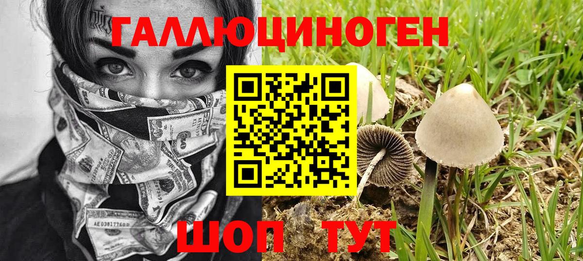 Псилоцибиновые грибы GOLDEN TEACHER  Псилоцибиновые грибы MAGIC MUSHROOMS  Вход с VPN  Нальчик 